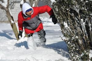 377646_10151703376603906_27662875_n