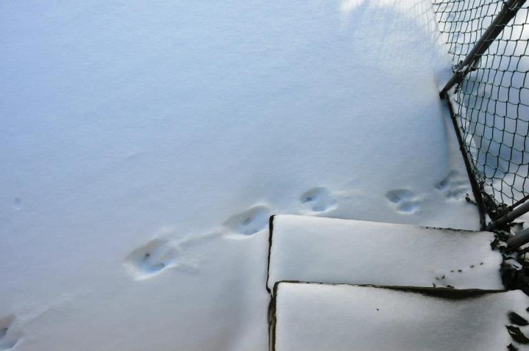 71859_10151703378388906_355147771_n