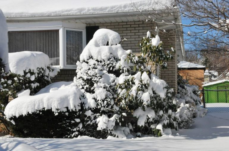 73477_10151703377308906_308298040_n