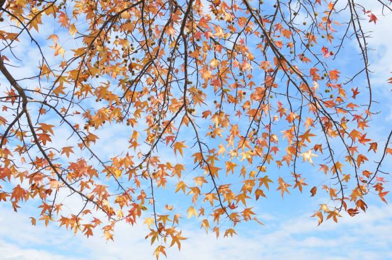 1459957_10152311616628906_536716895_n