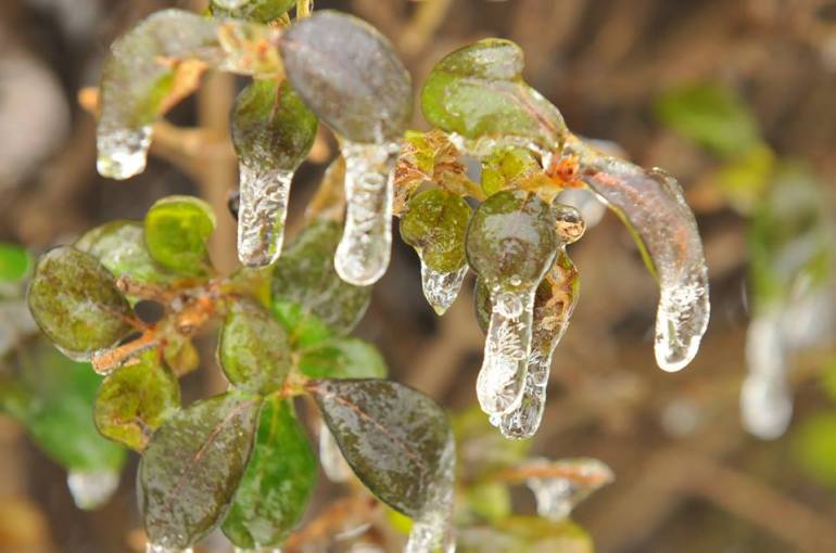 1506495_10152436080258906_1417829070_n