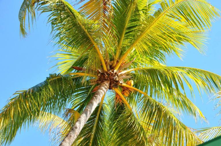 10429289_10153569285708906_8021748261672881999_n