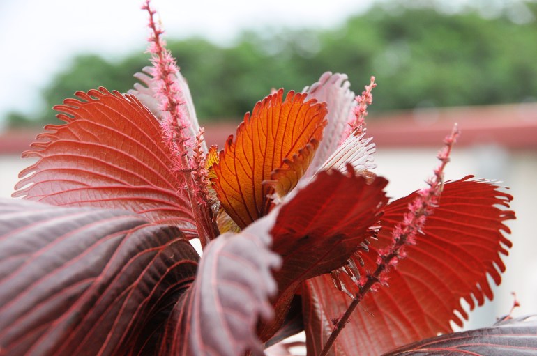 ????????????????????????????????????