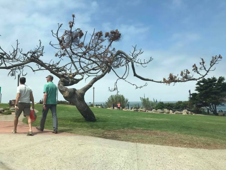 20597161_10156368018088906_1018101846522947068_n