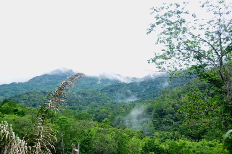 19429833_10156226174518906_5717469032603082234_n